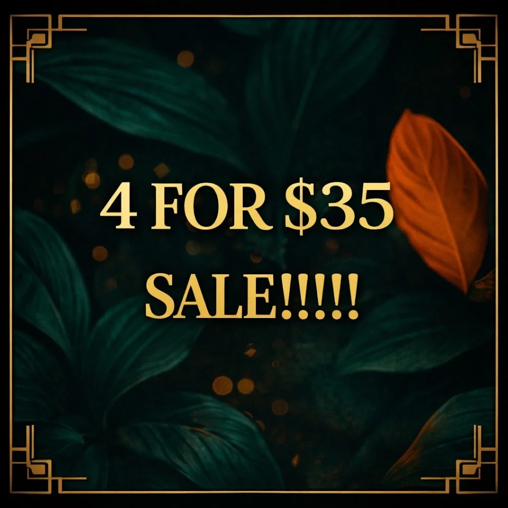 Sale - Picture 2 of 3